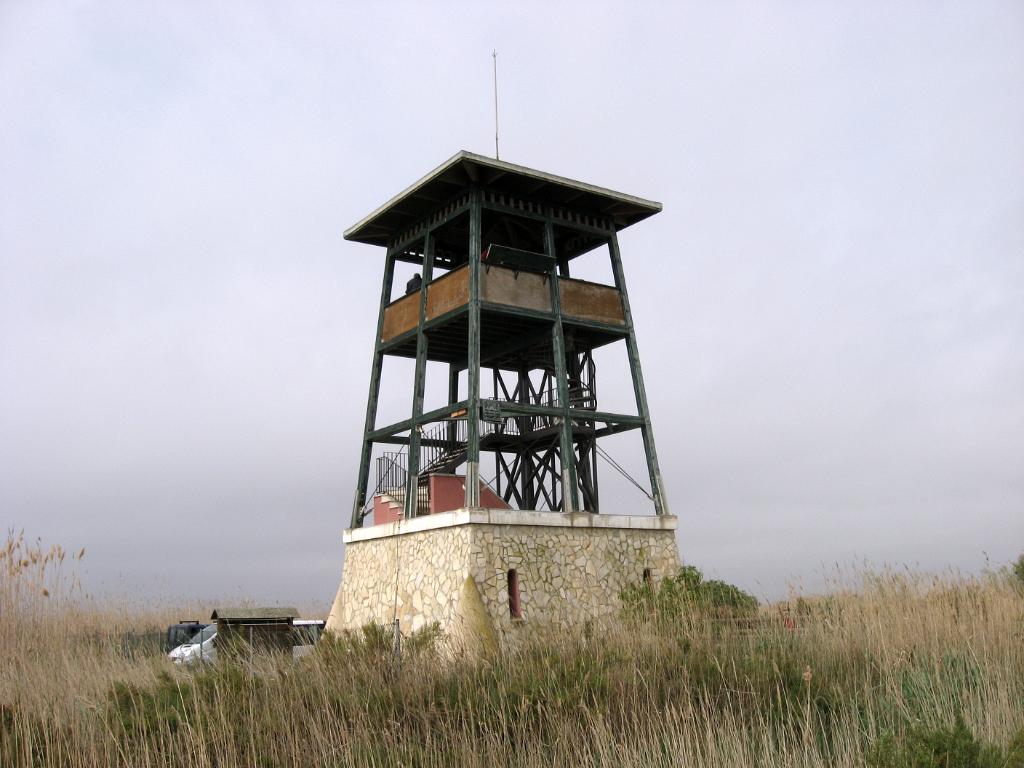 Delta de l'Ebre